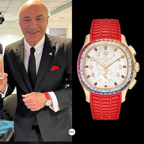 kevin o'leary watch insurance|kevin o'leary watches 2022.